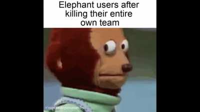 meme comp