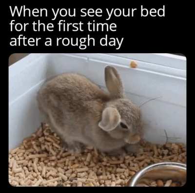 Bunny flops