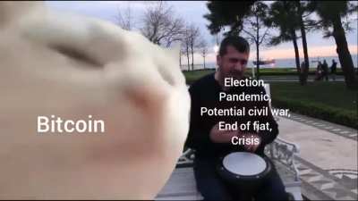 Bitcoin 🚜💪