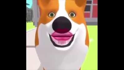Wtf