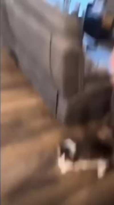 My toy….it stuck(not my oc)