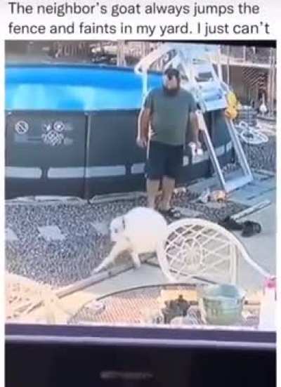 This goat