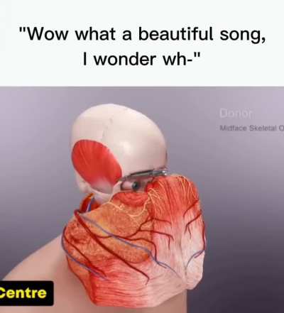 Bro what the duck