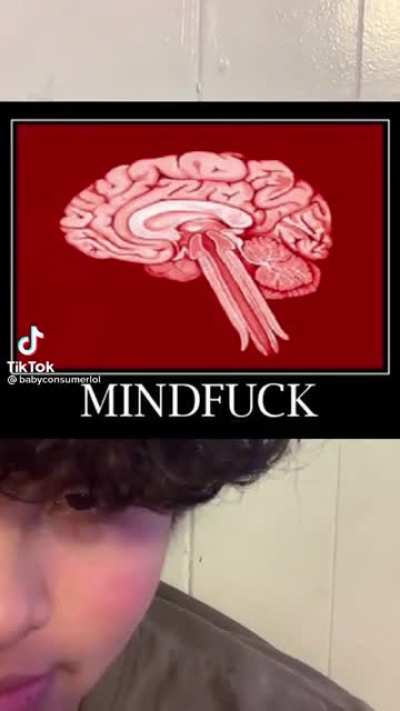 😎