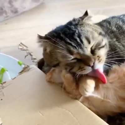 Victim's futile defense against assassin