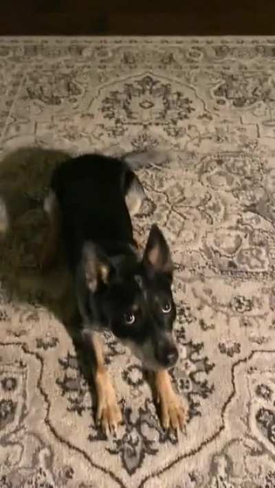 Those crazy eyes!!!