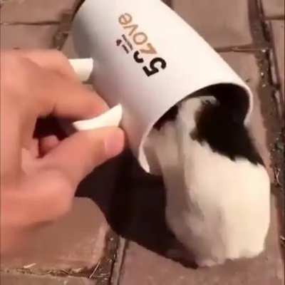 There's so much sugar on this coffee