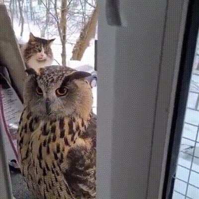 A shocking visitor.