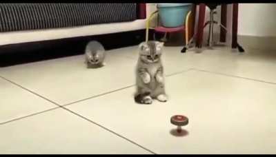 Noo, please don’t touch