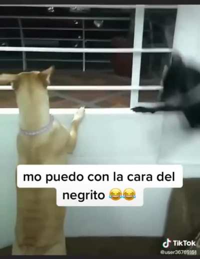 Chismeando