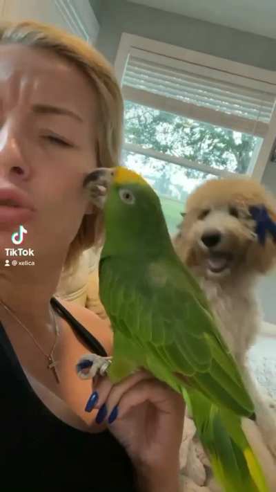 I’m jealous