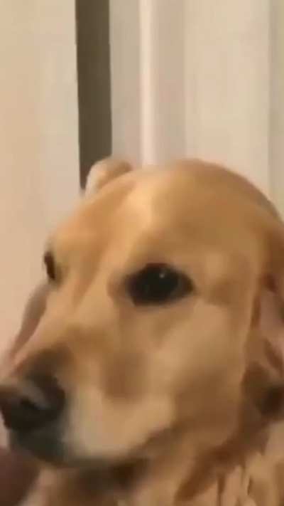 🙂😐🙂