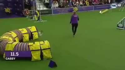 Pocket rocket
