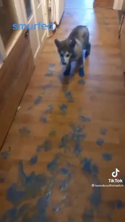 Huskies do some remodeling
