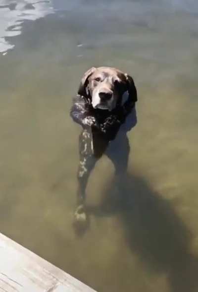 Nice day at the lake