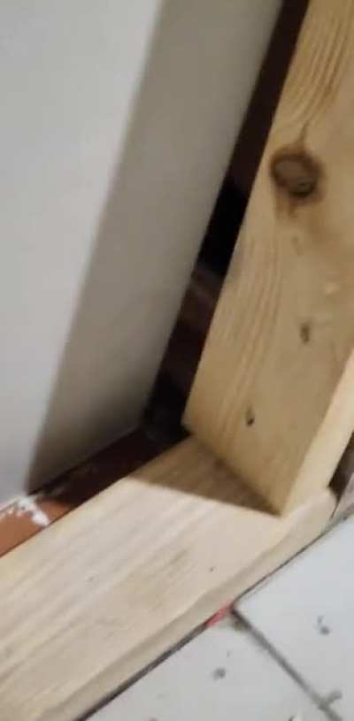 Mouse-1 Me-0