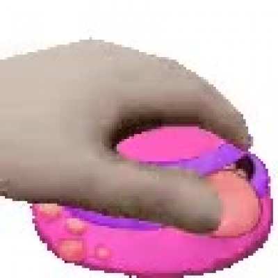 Pet the Maw