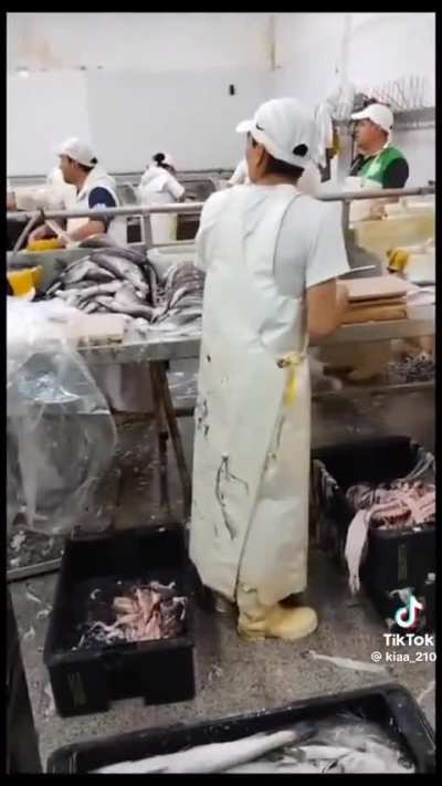 Charla política en una pescadería con plot twist