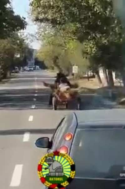 Fast and furious 10