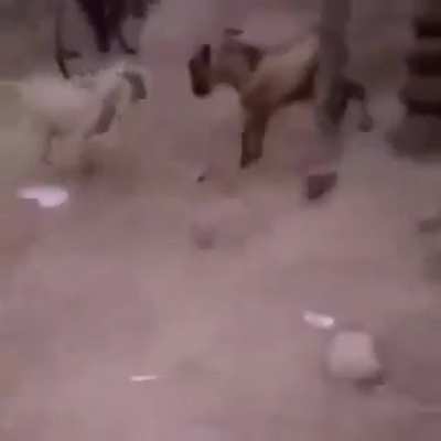 double kill