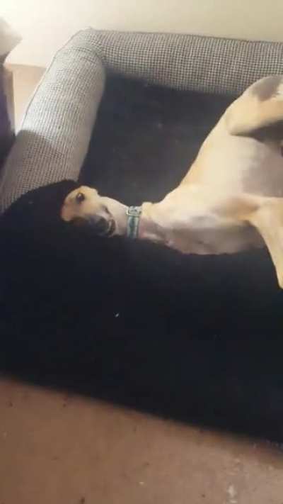 A very long weirdo