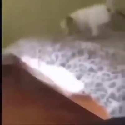 Is he still a good boy?