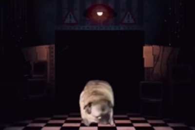 Pug