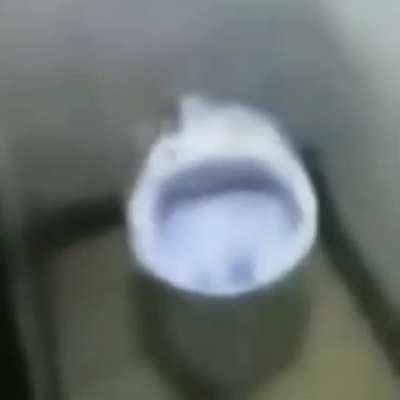 Toilet humor