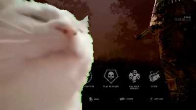 menu but with cats