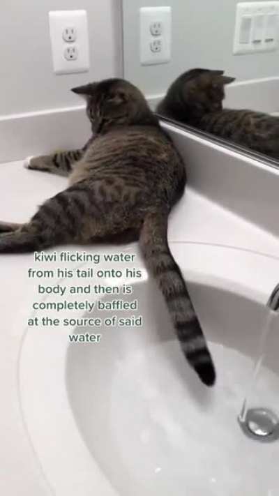 Does this count?