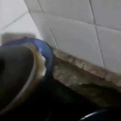 Filha da puta