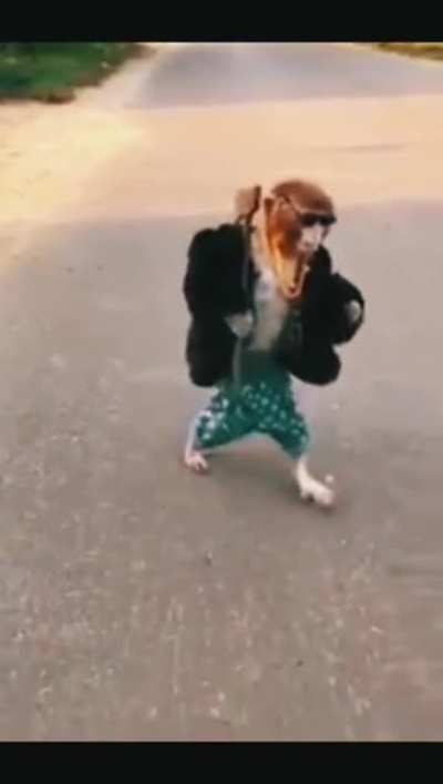 Monke glow up