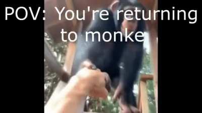 monke