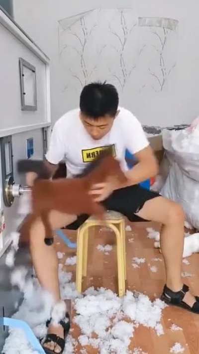 Abra Kada... BONK!!