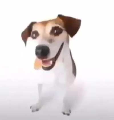 🐕