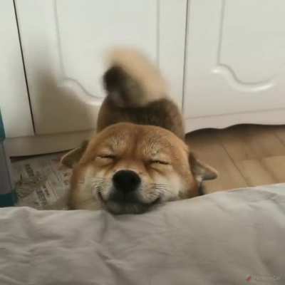 good morning friend! :3
