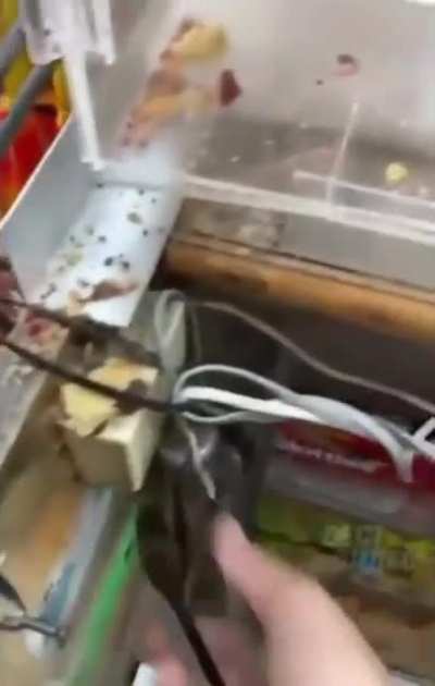 Maybe Maybe Maybe