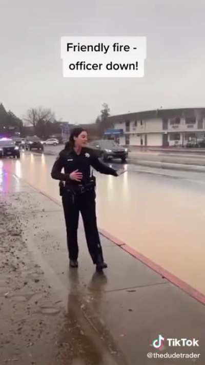 Cop on Cop violence
