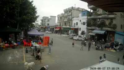 Man headslammed by runaway dogs