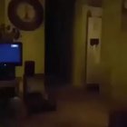 cursed thing