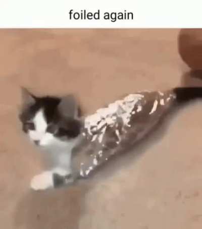 rule