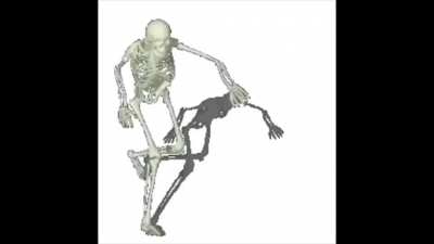 me💀irl