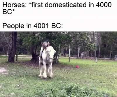 Bucking all around