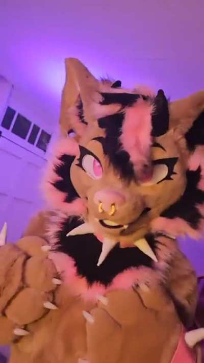 Furry_irl
