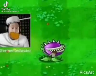 Markipiler