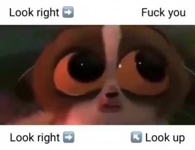 Gonna cry? Gonna pee your pants? Gonna [REDACTED] !?
