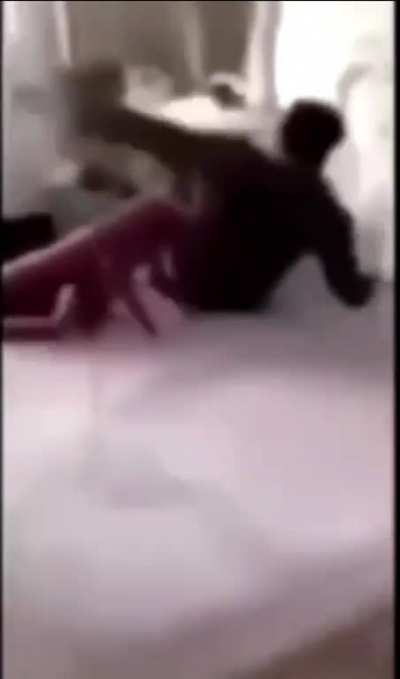 Cockroach
