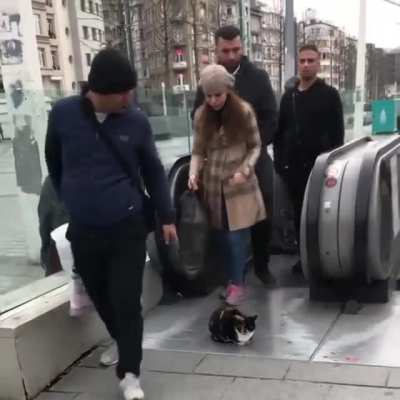 Zero f*cks given