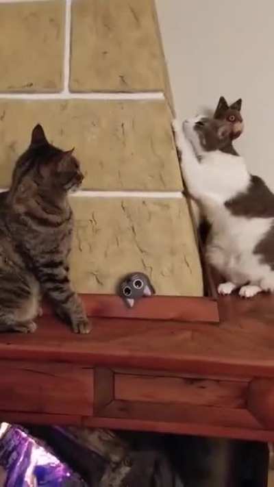 Mission failed, we’ll get em next time