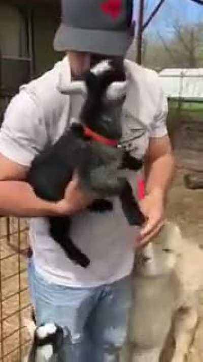 Melhore o seu dia em 300% nesse vídeo!!!